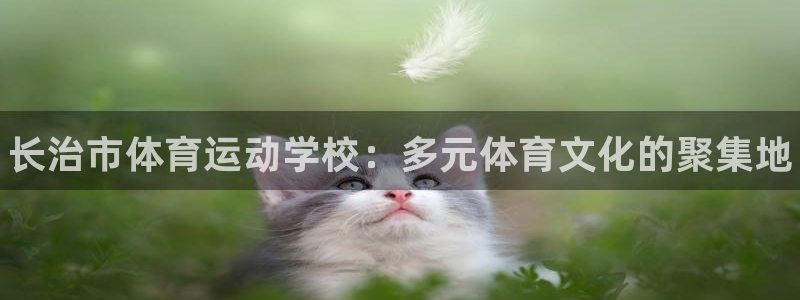 米兰体育官网下载娱乐