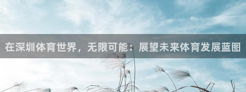 米兰体育官方正版app集团简介