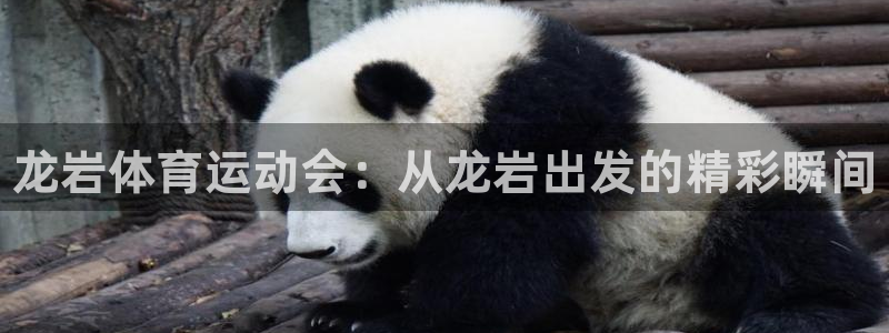 米兰体育官网下载平台假的吗是真的吗吗