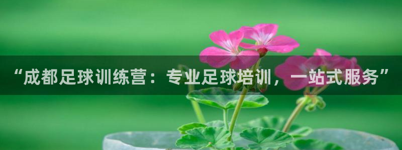 米兰体育官网下载注册：“成都足球训练营：专业足球培训，一站式