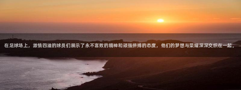 米兰体育官方正版app集团E.ON：在足球场上，激情