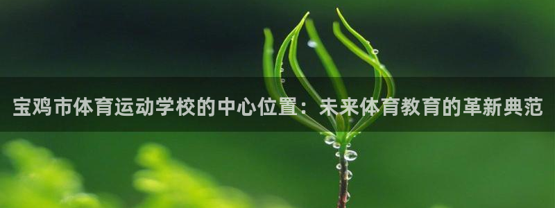 米兰体育官方正版app集团官网首页：宝鸡市体育运动学校的中心