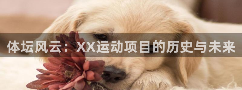 米兰体育官方正版app集团简介：体坛风云：XX运动项