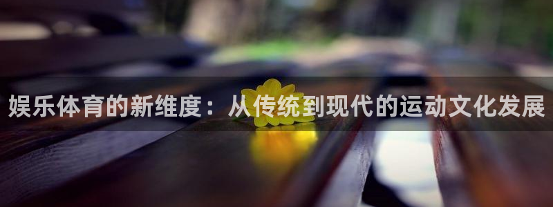 海南米兰体育官网下载：娱乐体育的新维度：从传统到现代
