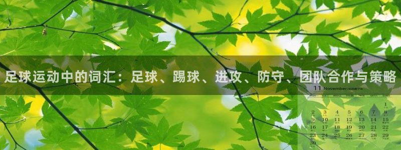 米兰体育官方正版app娱乐平台：足球运动中的词汇：足