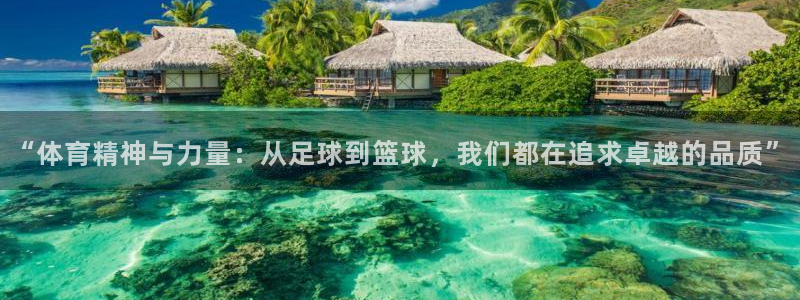 米兰体育官方正版app官网：“体育精神与力量：从足球