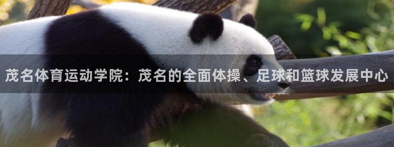 米兰体育官网下载招商电话地址：茂名体育运动学院：茂名