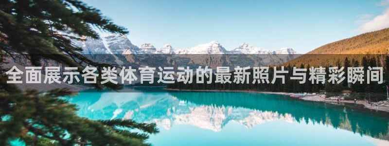 米兰体育官方集团官网：全面展示各类体育运动的最新照片