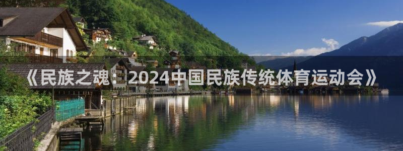 米兰体育官方正版app娱乐代理怎么样：《民族之魂：2