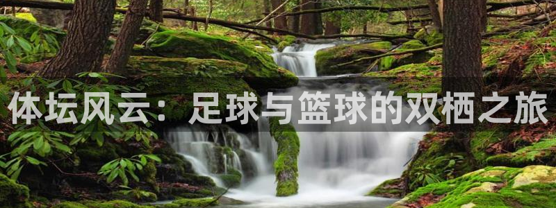 米兰体育官网下载招商：体坛风云：足球与篮球的双栖之旅