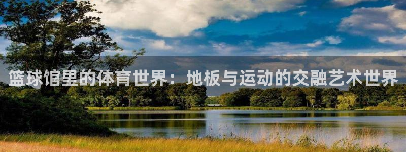 米兰体育官方集团官网：篮球馆里的体育世界：地板与运动