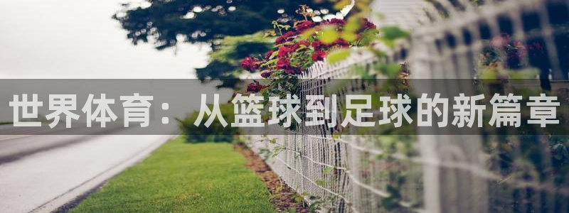 米兰体育官方正版app五金厂：世界体育：从篮球到足球的新篇章