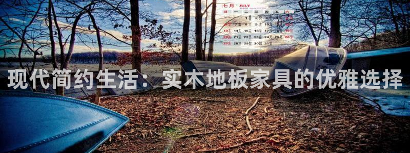 海南米兰体育官网下载：现代简约生活：实木地板家具的优