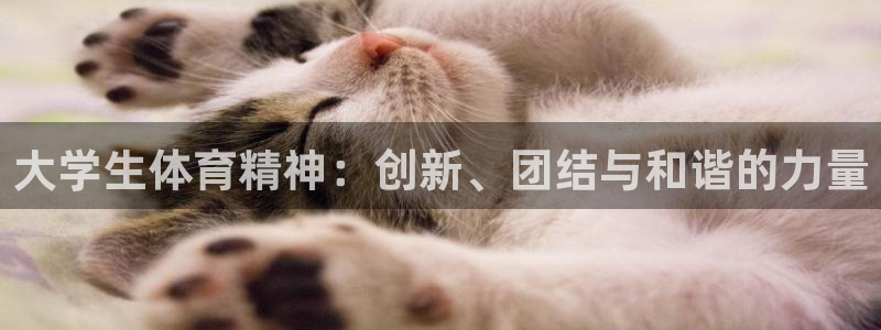 米兰体育官网下载招商电话号码是多少啊：大学生体育精神：创新、