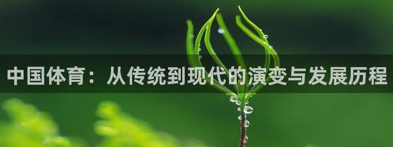 米兰体育官方正版app娱乐是那个系列的台子：中国体育：从传统