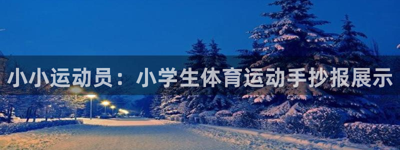 米兰体育官方正版app娱乐网站