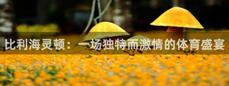 米兰体育官网下载招商电话是多少啊：比利海灵顿：一场独特而激情