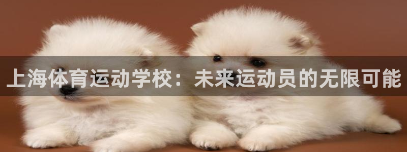 米兰体育官网下载软件：上海体育运动学校：未来运动员的无限可能