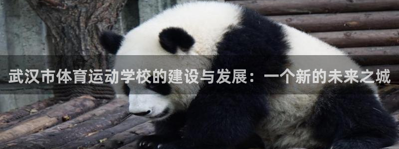 米兰体育官网下载平台注册要钱吗是真的吗：武汉市体育运动学校的