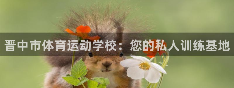 米兰体育官方正版app代理：晋中市体育运动学校：您的