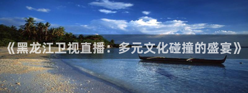 857体育直播免费看：《黑龙江卫视直播：多元文化碰撞的盛宴》