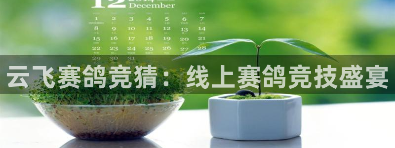 857赛事直播平台：云飞赛鸽竞猜：线上赛鸽竞技盛宴